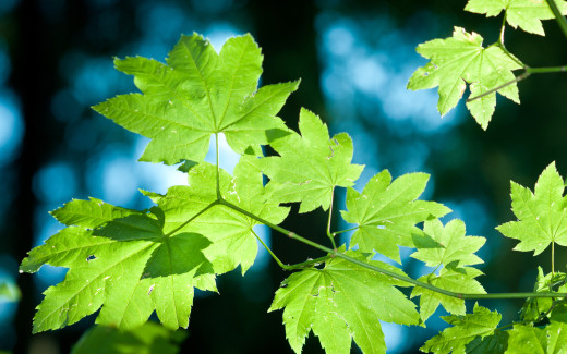 1436983 (a): :2560x1600